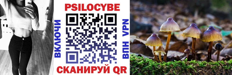 Галлюциногенные грибы Psilocybe Верхний Уфалей